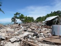 津波災害の現地調査の画像