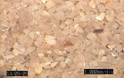 写真-2  砂のデジタル顕微鏡写真