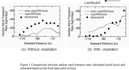 Modeling of aeolian sand transport with consideration of vegetationの画像