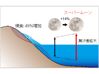 本研究で明らかとなったスーパームーンに伴う地形変化の概略図