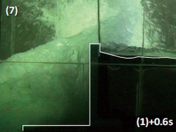  Experiment of wave force acting on setback parapetの画像4