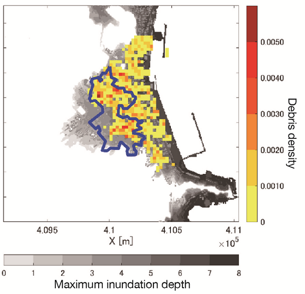 Calculation of tsunami inundation and debris drift:image