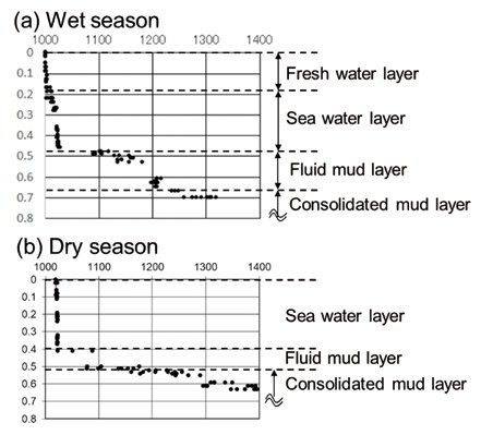 Vertical distribution of bottom-mud densities in rainy season and dry season at Patimbanの画像