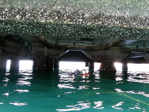 Stationary-positioning-enabled inspection ROV for investigating the bottom surface of a pier:image