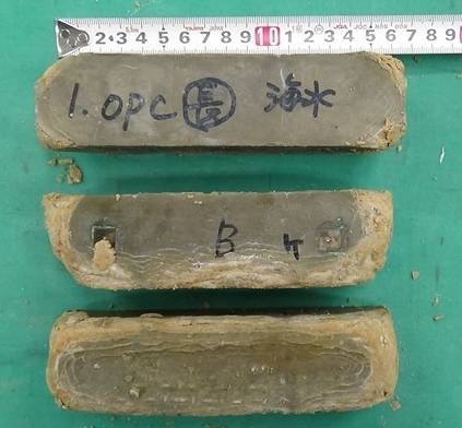 img:Right (Fig. 2) Specimens salvaged from deep seafloor