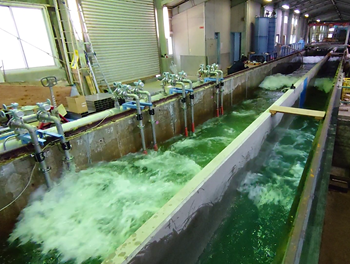 大型実験水路105m堤体実験水路