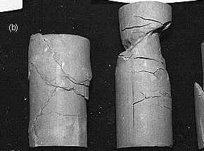 標高-75mから採取した乱さない試料の画像