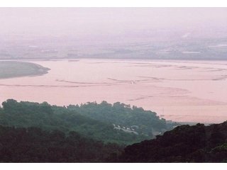 不知火海の泥質干潟.大野川河口付近。の画像