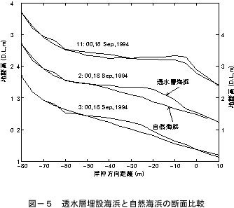 透水層埋設海浜と自然海浜の断面比較の画像