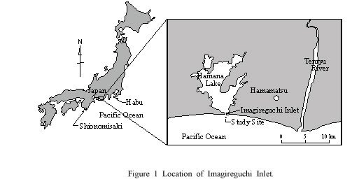 Morphological variation and sediment volume change at Imagireguchi Inlet in Hamana Lakeの画像1