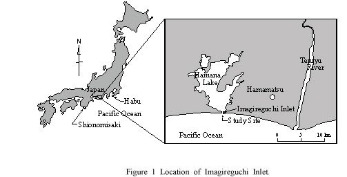 Morphological variation and sediment volume change at Imagireguchi Inlet in Hamana Lakeの画像1