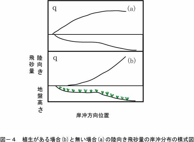 後浜における飛砂量と砂草との関係