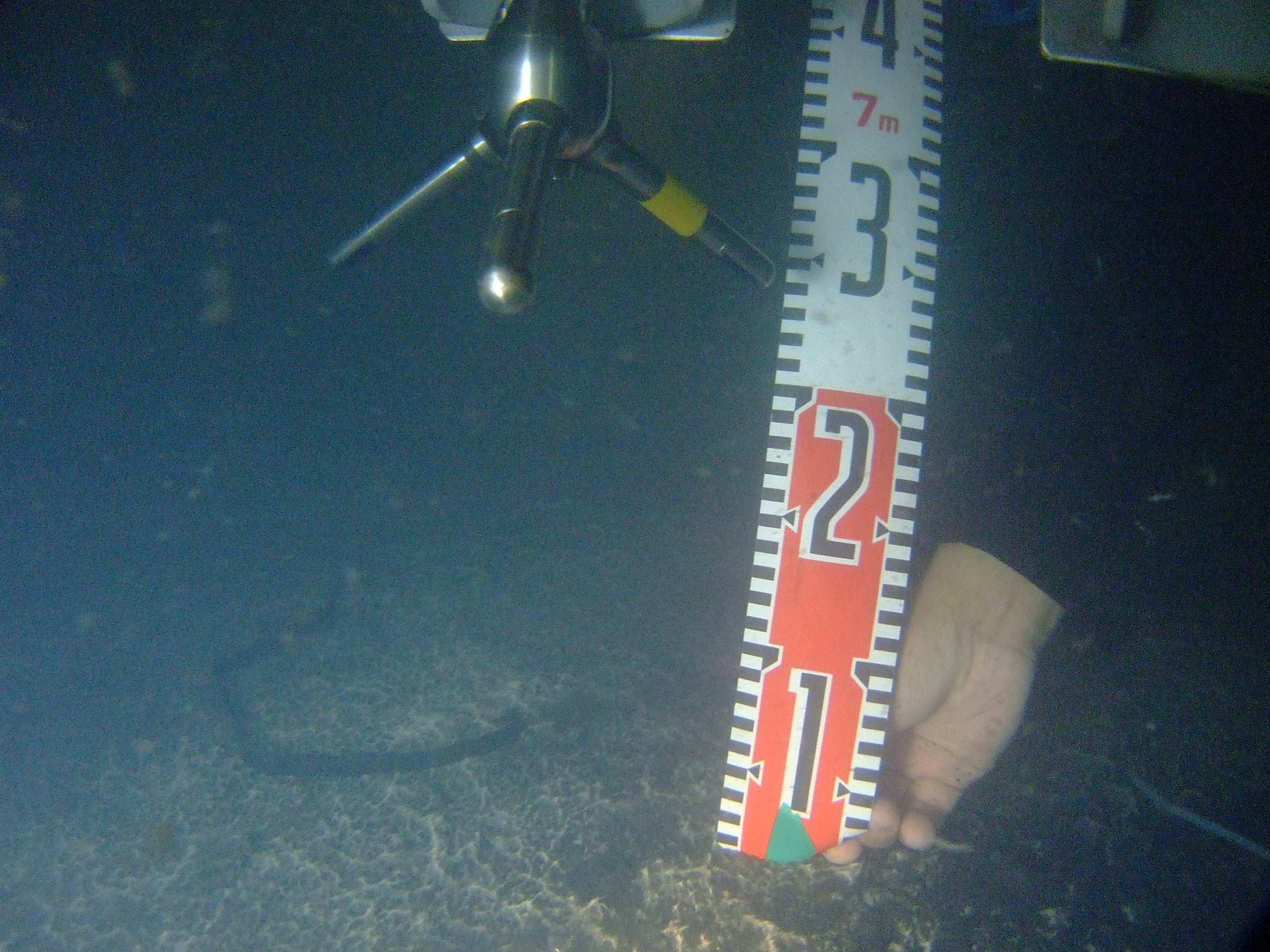 海底面直上に設置された超音波式流速計