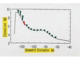 Figure2 Beach profile along the survey line II.の画像