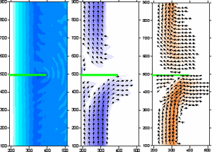 Distribution of wave height, current and bedloadの画像