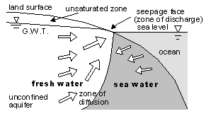 汀線近傍に形成される海岸帯水層中の局所循環流に関する研究(1998～99年)の画像1