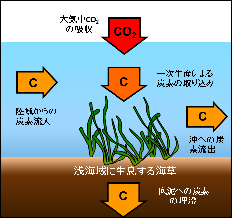 研究手法と成果のイメージ