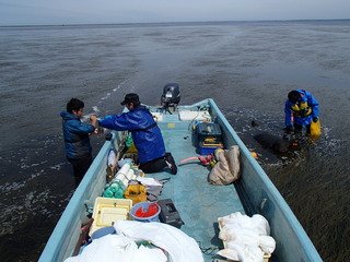 研究手法と成果の画像4