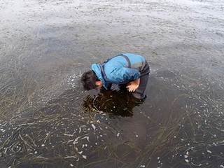 研究手法と成果の画像4