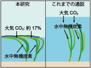 研究手法と成果の画像1