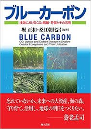 主要発表論文・著書(和文)の画像4