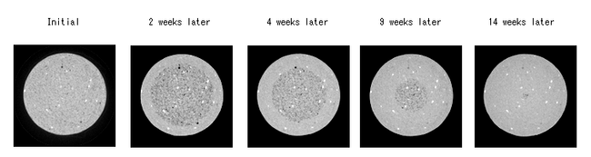 img:The figures show the results of a seepage test of SGM, obtained by micro-focus X-ray CT scanner