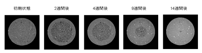 SGM(気泡混合処理土)の水浸試験の画像